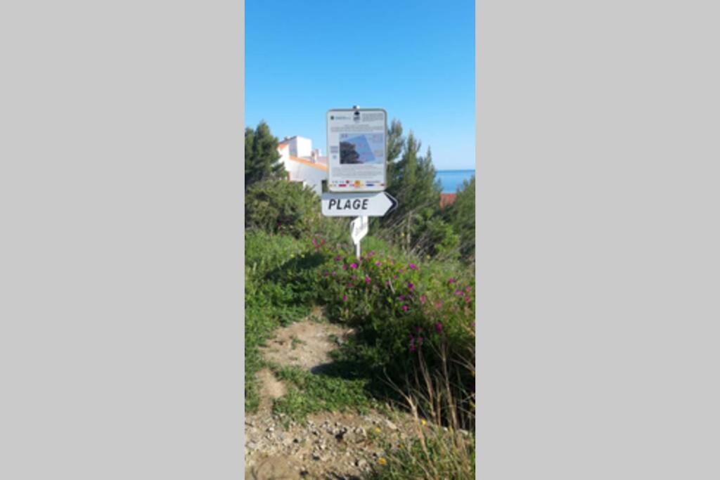 Appartement F2 Proche Des Criques Et Thalasso Banyuls-sur-Mer Εξωτερικό φωτογραφία